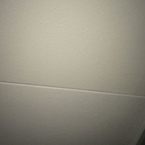 Meet your Posher, Carter